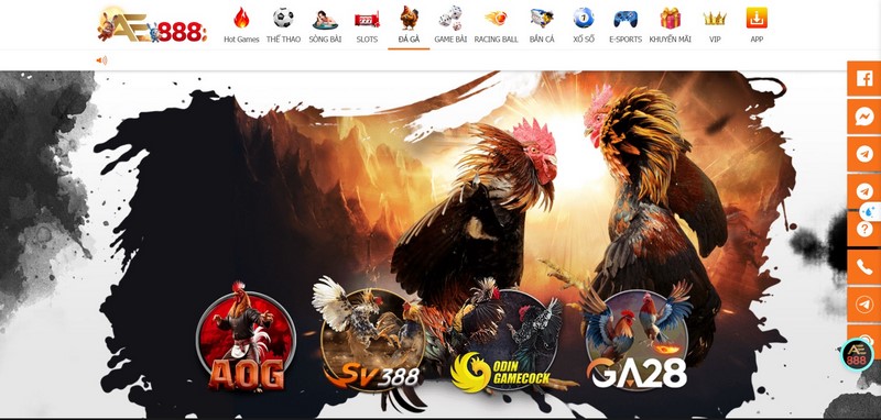 Đá Gà KUBET - Điểm Đến Giải Trí Với Cơ Hội “Đổi Đời” Nhanh Chóng